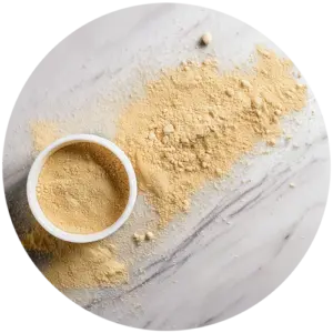 Coconut Cream